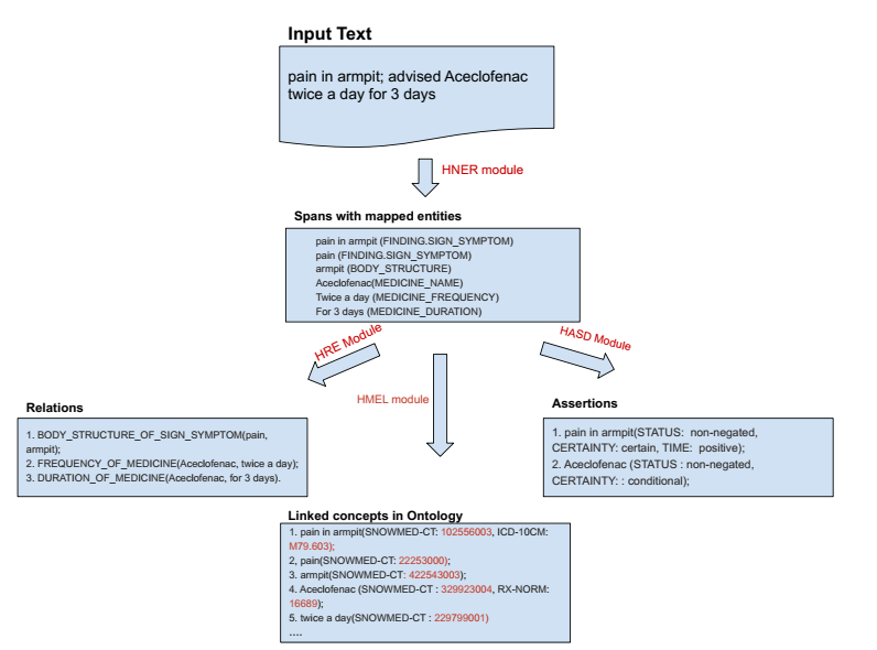 Spezifische Ein- und Ausgaben in der Health NLP-Pipeline