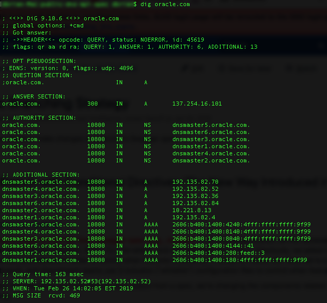Screenshot showing the output for dns dig