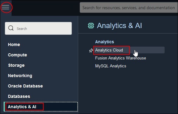 Analytic & AI options