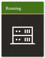 A screen shot showing the state of Running above the icon for an instance.