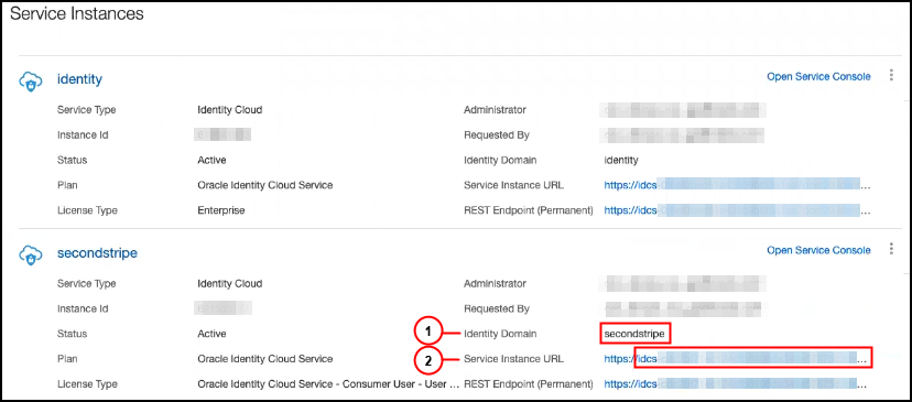 Service instance details highlighting values described in text