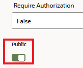 This is a screenshot of part of the Configuration page that shows the Require Authorization field and the Public switch.