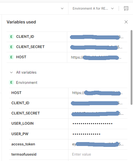 Variable de token de acceso en el panel Variables