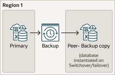 A continuación, se incluye la Descripción de backup-based-dr-local.eps A continuación, se incluye la Descripción de backup-based-dr-local.eps