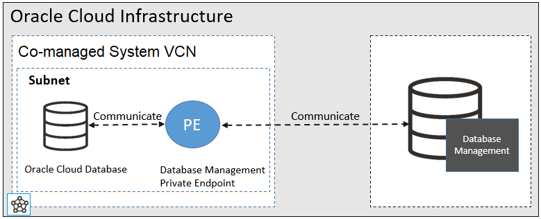 Punto final privado de Database Management Punto final privado de Database Management
