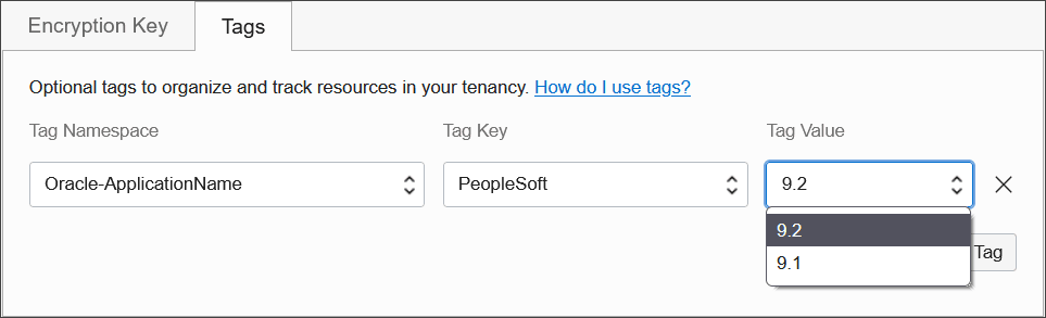 Definición de una clave de etiqueta de aplicación adecuada en el espacio de nombres de etiqueta Oracle-ApplicationName.