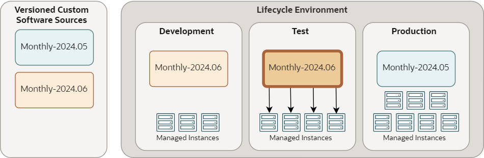 Ejemplo de ciclo de vida que muestra dos orígenes de software. La fuente más reciente se promociona de la etapa Desarrollo a la etapa Prueba.