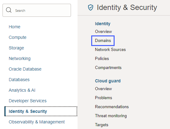 Identity & Security is selected in the menu. In the submenu, below Identity, Domains is identified with a box around it.