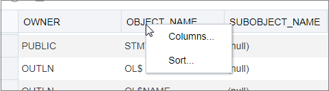 This image shows the context menu that appears when you right-click the row header of the display table.