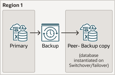 backup-based-dr-local.epsの説明が続きます